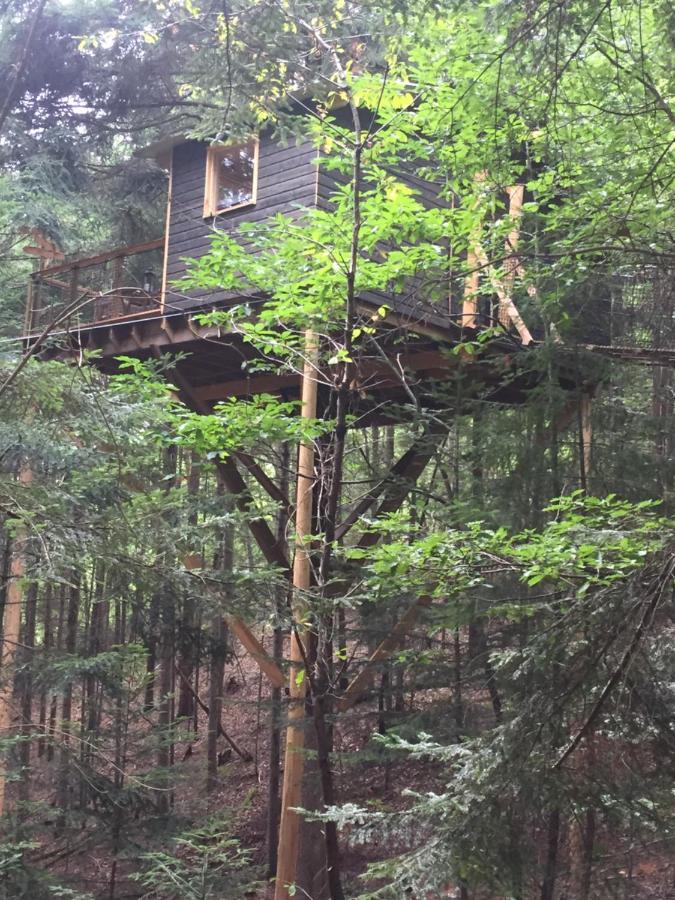 Cabane De L'Ecureuil Hotel Châtel-Guyon Eksteriør billede